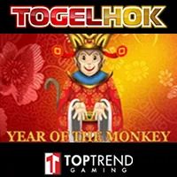 Year Of The Monkey H5